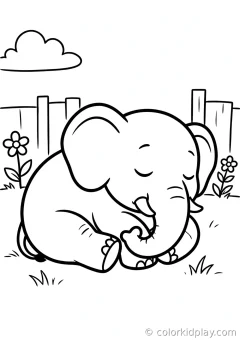 Coloring page of playful baby elephants splashing sleeping curled up peacefully in a cozy backyard.