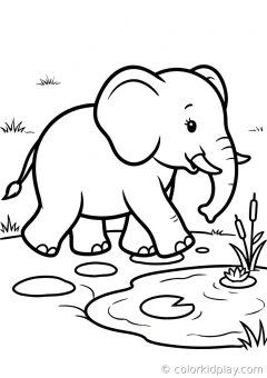 Coloring page of playful baby elephants splashing walking along a path beside a small pond.