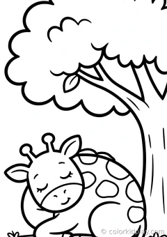 Coloring page of giraffes on the move sleeping curled up peacefully under a big tree.