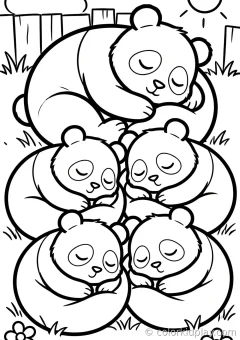 Coloring page of broadest panda collection sleeping curled up peacefully in a cozy backyard.