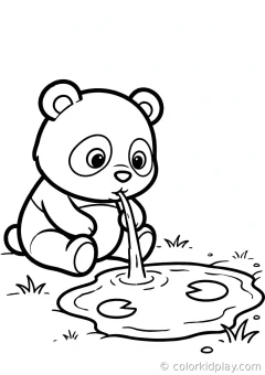 Coloring page of panda playtime drinking water from a pond beside a small pond.